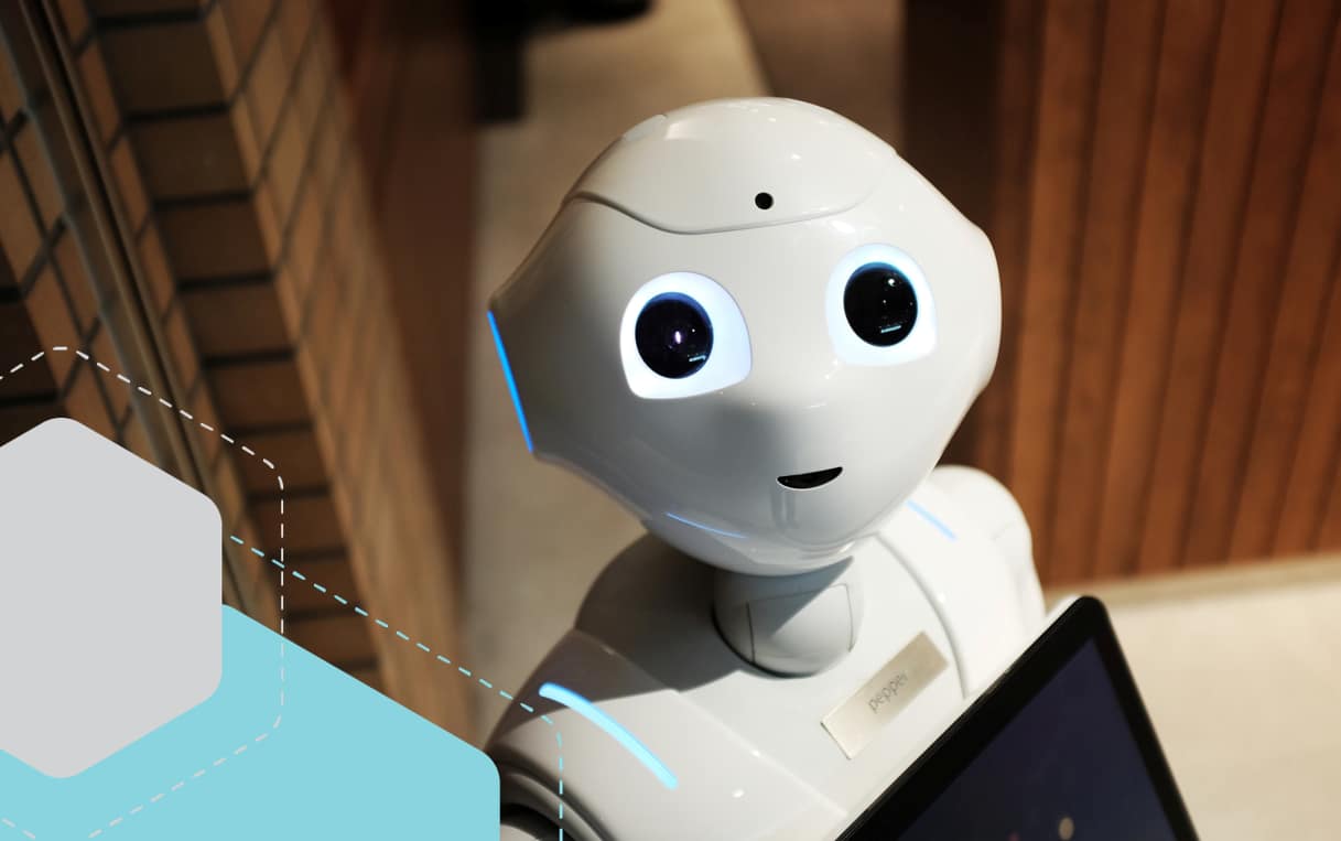 Banner image for this post