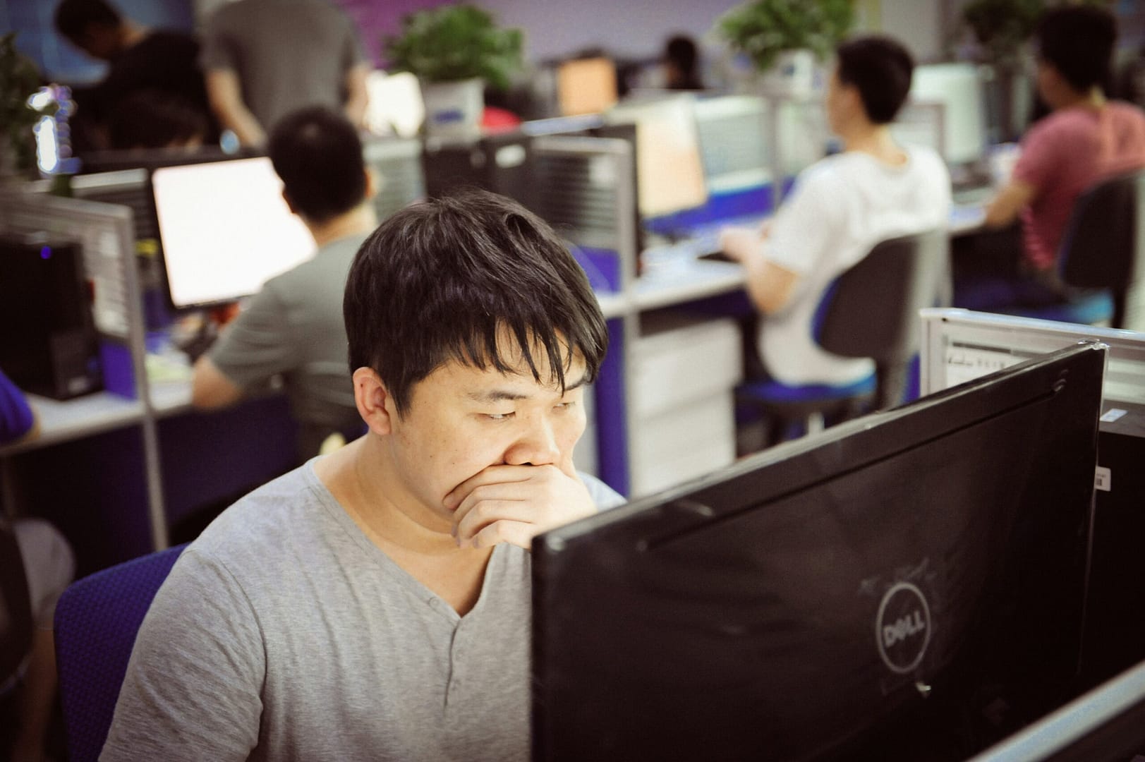 Banner image for this post