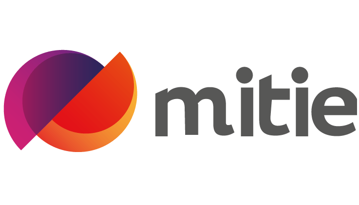 mitie job assessments