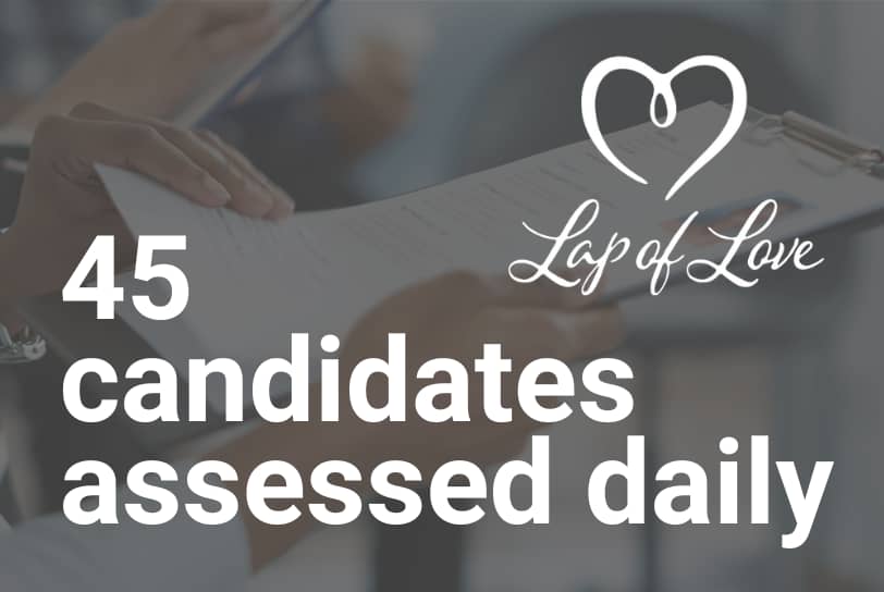 lap of love recruitment case study