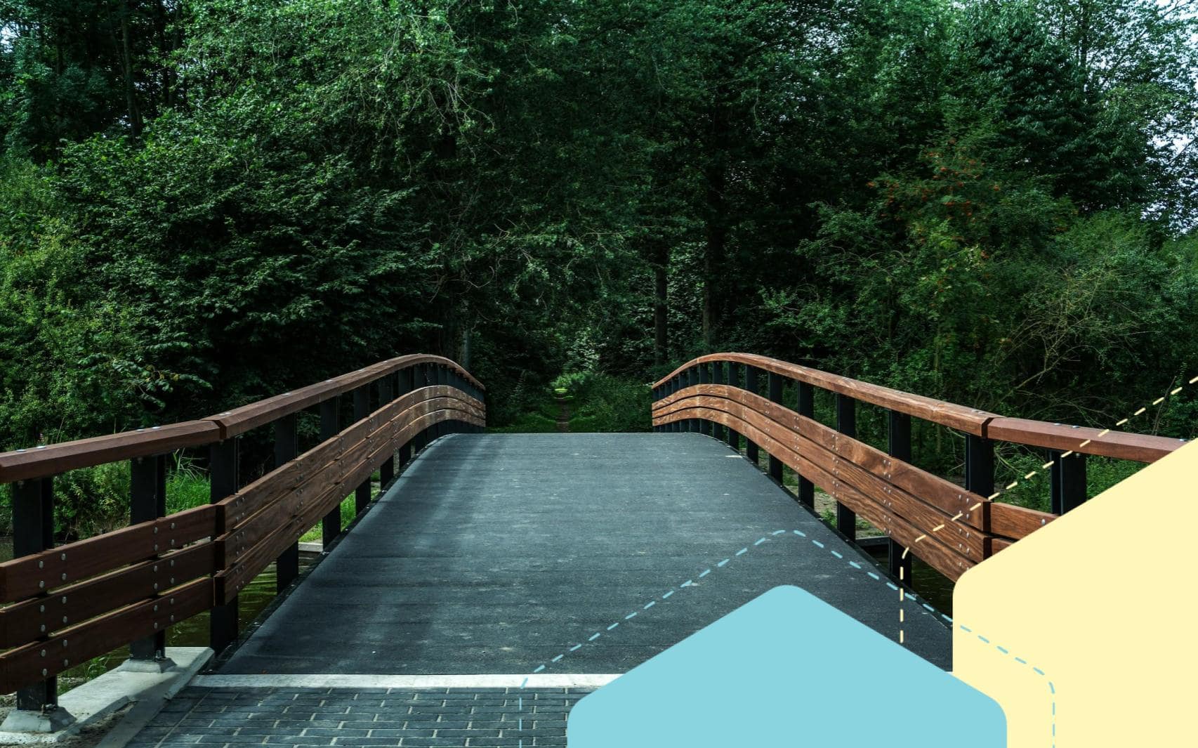 Banner image for this post