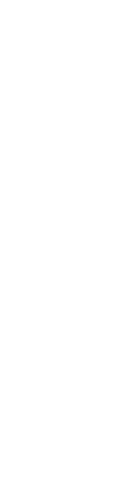 An illustration of two rows of dots